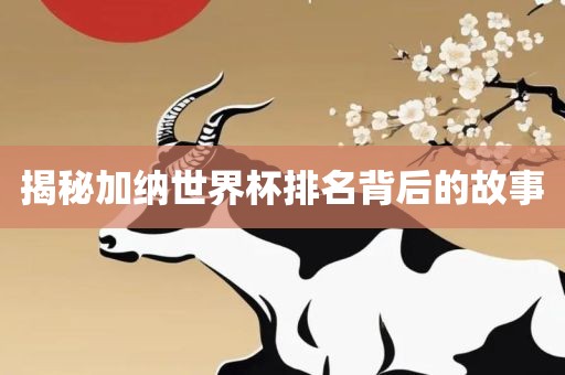 揭秘加纳世界杯排名背后的故事