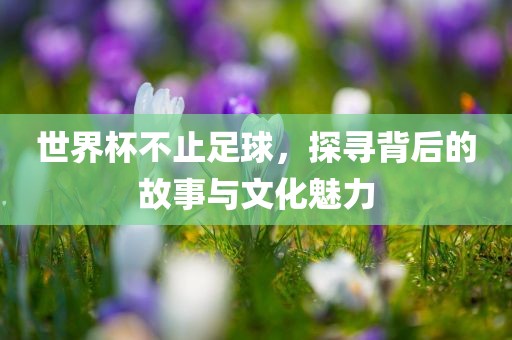 世界杯不止足球，探寻背广州鸿业环保设备有限公司后的故事与文化魅力