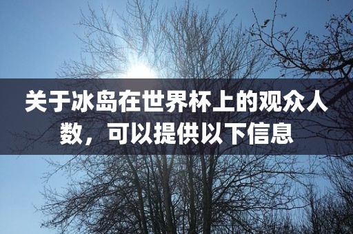 关于冰岛在世界杯上的观众人数，可以提供以下信息