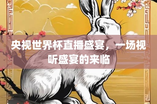 央视世界杯直播盛宴，一场视听盛宴的来临