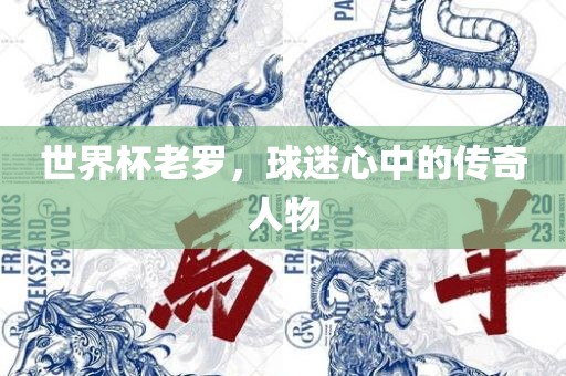 世界杯老罗，球迷心中的传奇人物广州鸿业环保设备有限公司