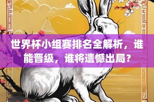 世界杯小组赛排名全解析，谁能晋级，谁将遗憾出局？