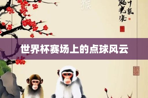 世界杯赛场上的点球风云