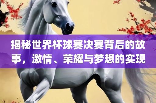 揭秘世界杯球赛决赛背后的故事，激情、荣耀与梦想的实现