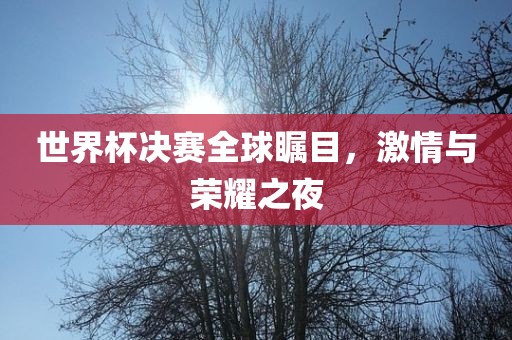 世界杯决赛全球瞩目，激情与荣耀之夜广州鸿业环保设备有限公司