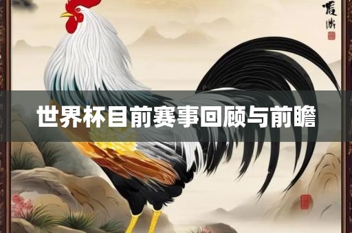 世界杯目前赛事回顾与前瞻