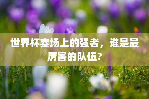 世界杯赛场上的强者，谁是最厉害的队伍？