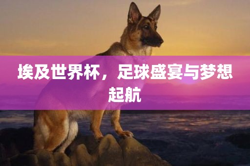 埃及世界杯，足球盛宴与梦想起航