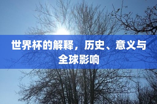 世界杯的解释，历史、意义与全球影响