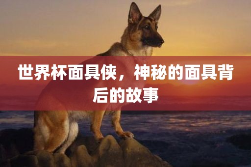 世界杯面具侠，神秘的面具背后的故事