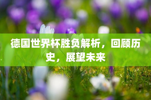 德国世界杯胜负解析，回顾历史，展望未来