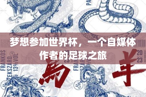 梦想参加世界杯，一个自媒体作者的足球之旅