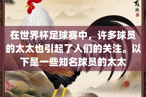 在世界杯足球赛中，许多球员的太太也引起了人们的关注。以下是一些知名球员的太太