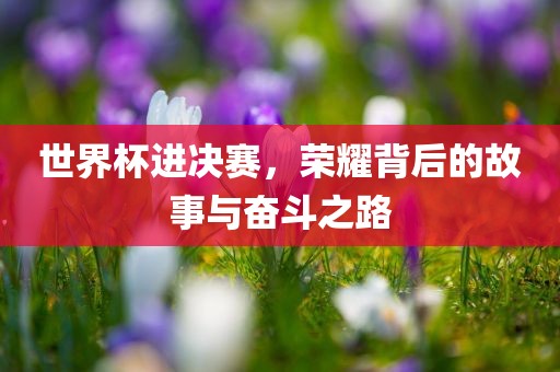 世界杯进决赛，荣耀背后的故事与奋斗之路