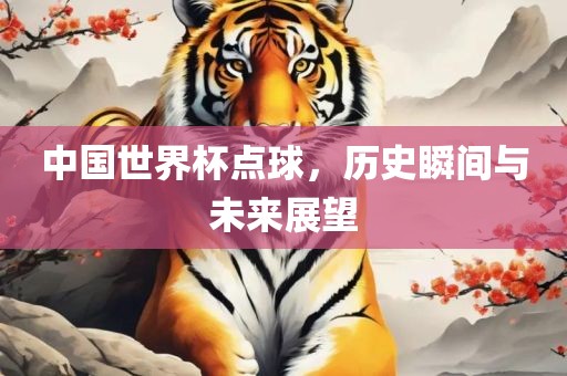 中国世界杯点球，历史瞬间与未来展望