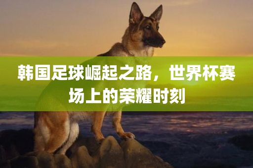 韩国足球崛起之路，世界杯赛场上的荣耀时刻