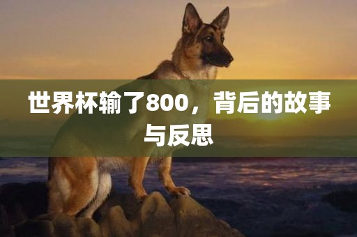 世界杯输了800，背后的故事与反思广州鸿业环保设备有限公司