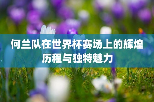 何兰队在世界杯赛场上的辉煌历程与独特魅力广州鸿业环保设备有限公司