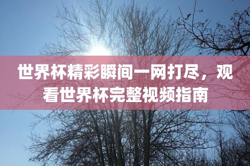 世界杯精彩瞬间一网打尽，观看世界杯完整视频指南