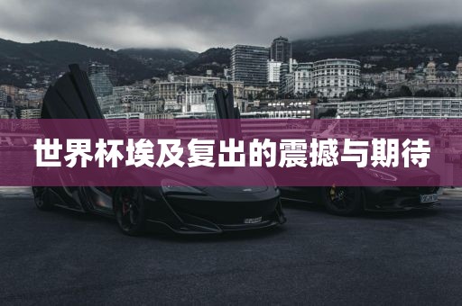 世界杯埃及复出的震撼与期待