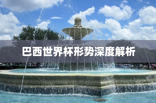 巴西世界杯形势深度解析广州鸿业环保设备有限公司