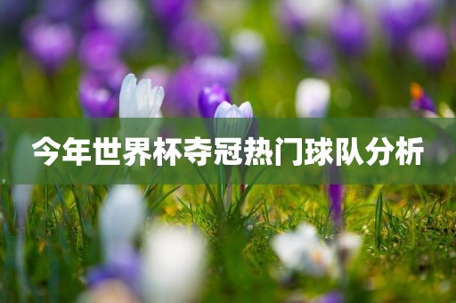 今年世界杯夺冠热门球队分析