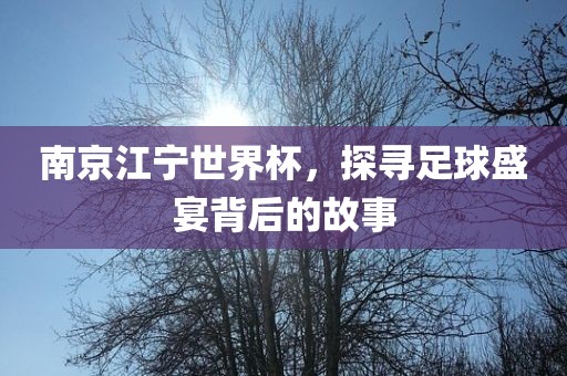南京江宁世界杯，探寻足球盛宴背后的故事