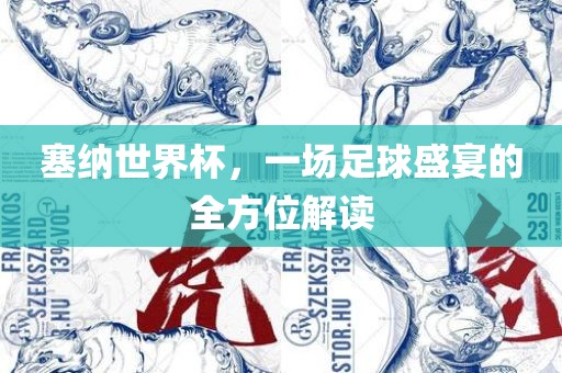 塞纳世界杯，一场足球盛宴的全方位解读