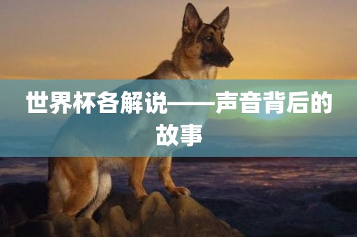世界杯各解说——声音背后的故事
