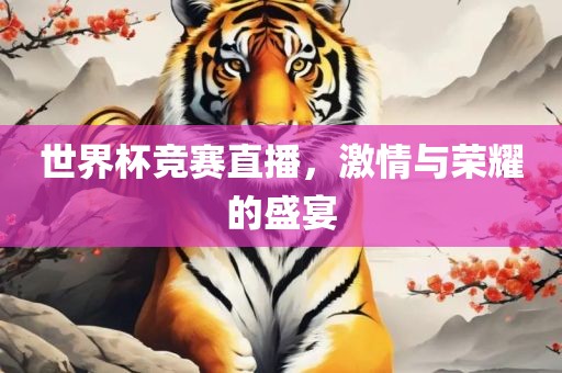世界杯竞赛直播，激情与荣耀的盛宴