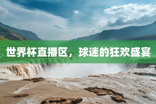 世界杯直播区，球迷的狂欢盛宴
