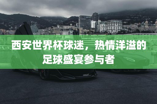 西安世界杯球迷，热情洋溢的足球盛宴参与者