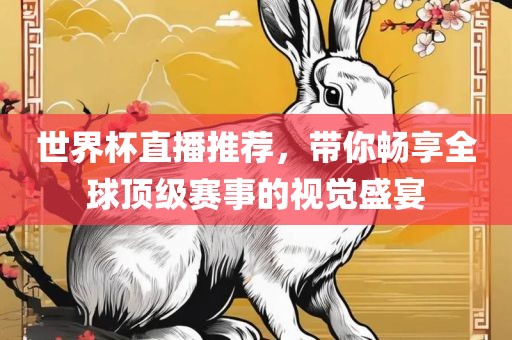 世界杯直播推荐，带你畅享全球顶级赛事的视觉盛宴