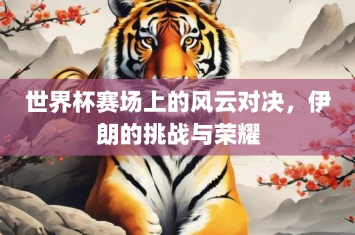 世界杯赛场上的风云对决，伊朗的挑战与荣耀