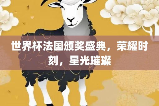 世界杯法国颁奖广州鸿业环保设备有限公司盛典，荣耀时刻，星光璀璨