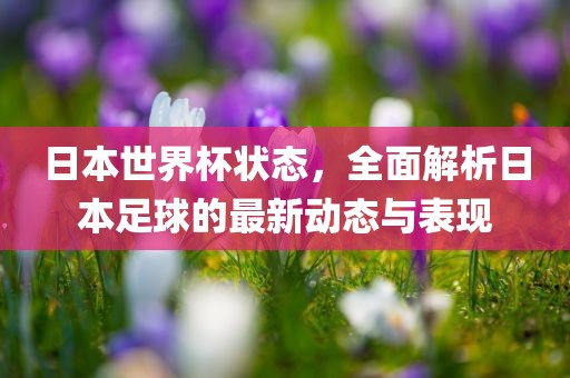 日本世界杯状态，全面解析日本足球的最新动态与表现