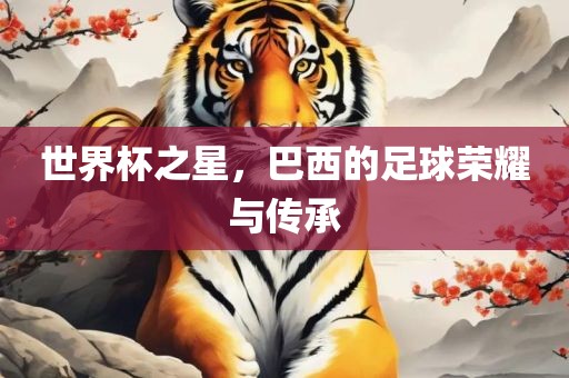 世界杯之星，巴西的足球荣耀与传承