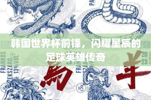 韩国世界杯前锋，闪耀星辰的足球英雄传奇