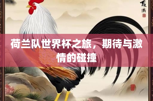 荷兰队世界杯之旅，期待与激情的碰撞