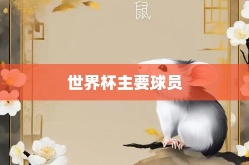 世界杯主要球员