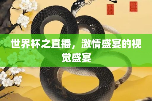 世界杯之直播，激情盛宴的视觉盛宴