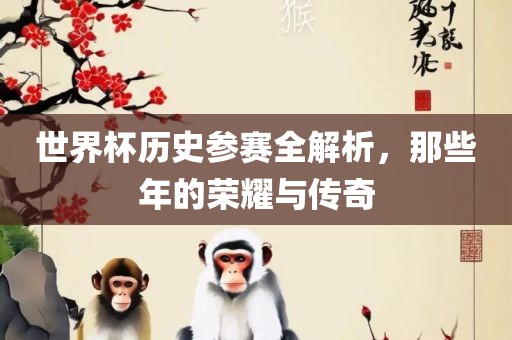 世界杯历史参赛全解析，那些年的荣耀与传奇