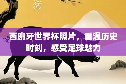 西班牙世界杯照片，重温历史时刻，感受足球魅力