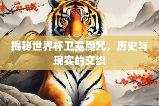 揭秘世界杯卫冕魔咒，历史与现实的交织
