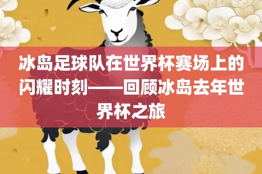 冰岛足球队在世界杯赛场上的闪耀时刻——回顾冰岛去年世界杯之旅
