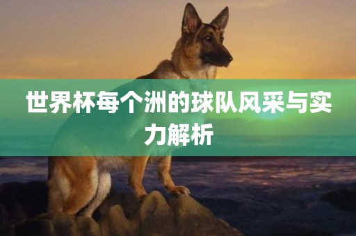 世界杯每个洲的球队风采与实力解析