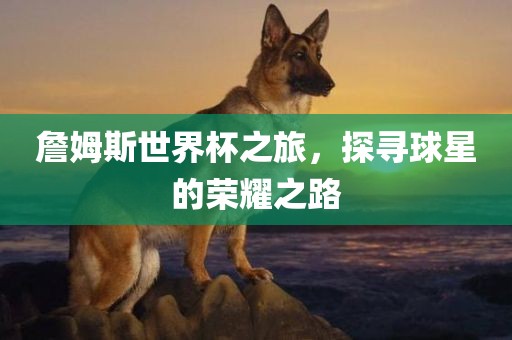 詹姆斯世界杯之旅，探寻球星的荣耀之路
