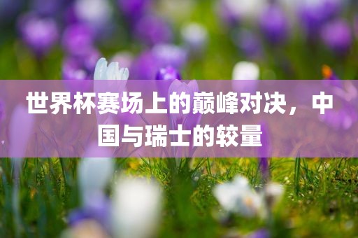世界杯赛场上的巅峰对决，中国与瑞士的较量