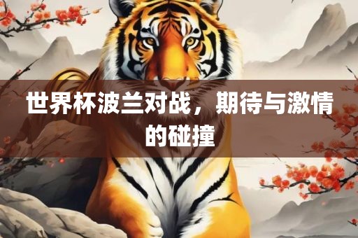 世界杯波兰对战，期待与激情的碰撞