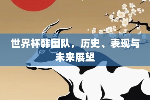 世界杯韩国队，历史、表现与未来展望